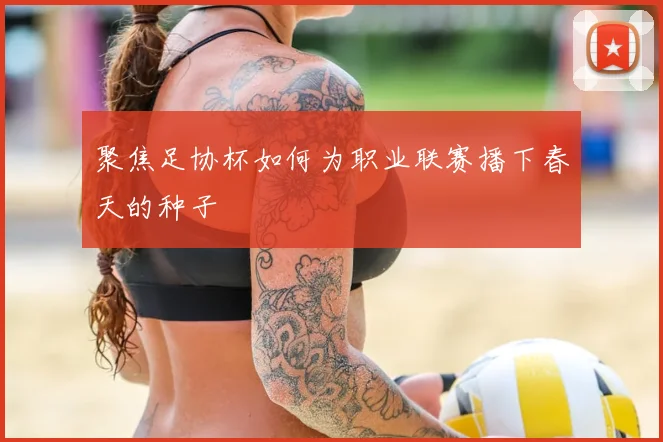 聚焦足协杯如何为职业联赛播下春天的种子